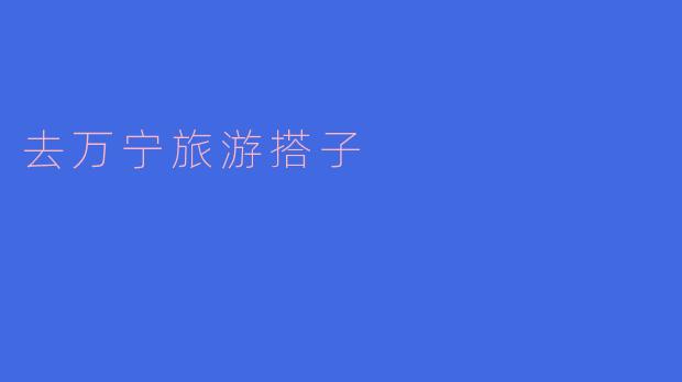 去万宁旅游搭子