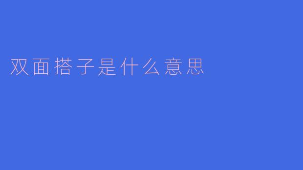双面搭子是什么意思