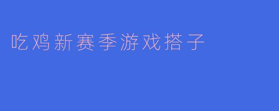 吃鸡新赛季游戏搭子