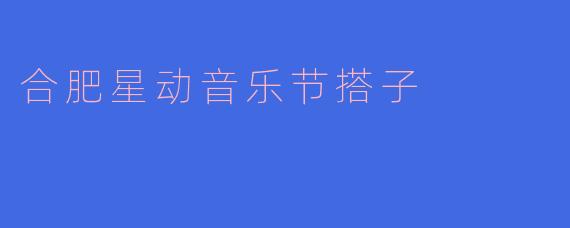 合肥星动音乐节搭子