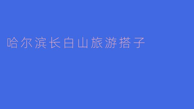 哈尔滨长白山旅游搭子