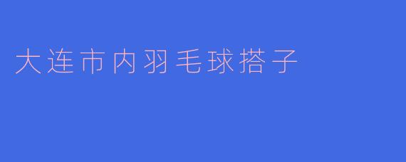 大连市内羽毛球搭子