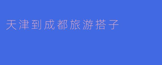 天津到成都旅游搭子