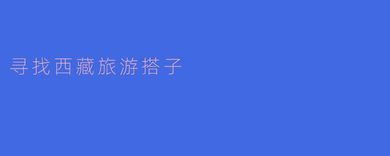 寻找西藏旅游搭子