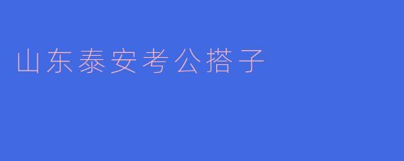 在山东泰安准备公务员考试，如何找到靠谱的“考公搭子”一起学习？