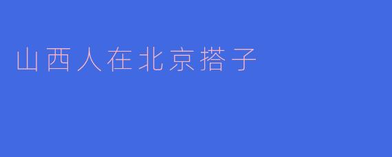 山西人在北京搭子