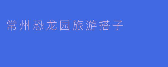 常州恐龙园旅游搭子