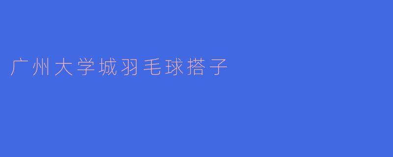 广州大学城羽毛球搭子