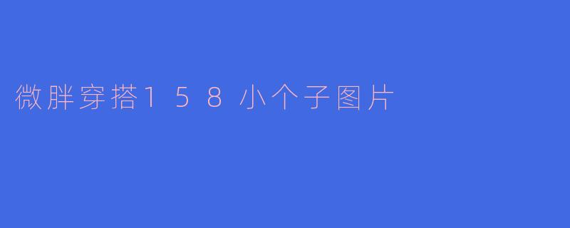 微胖穿搭158小个子图片