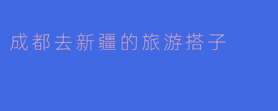 成都去新疆的旅游搭子