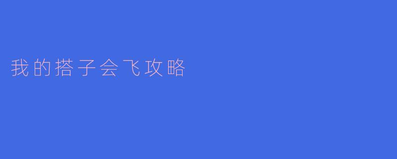 我的搭子会飞攻略