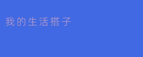 我的生活搭子