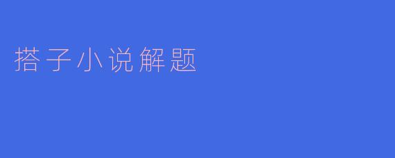 搭子小说解题