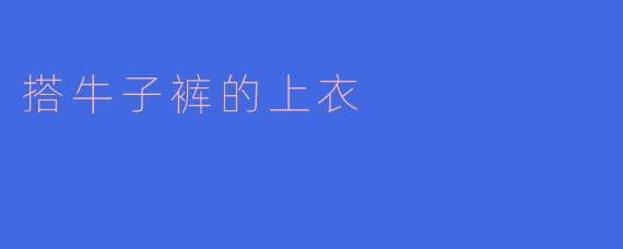 搭牛子裤的上衣