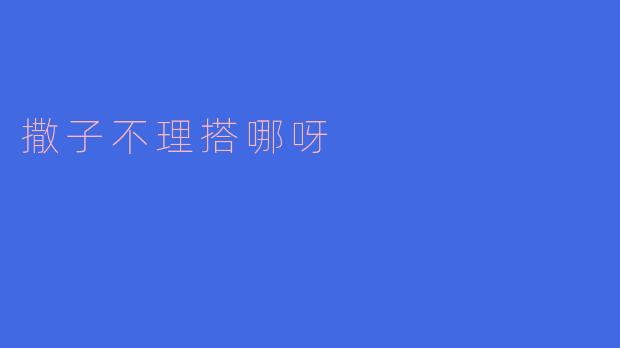 《撒子不理搭哪呀：一场关于方言与地域文化的趣味探索》