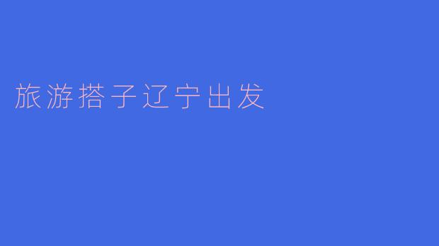 旅游搭子辽宁出发
