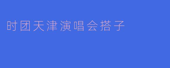 时团天津演唱会搭子