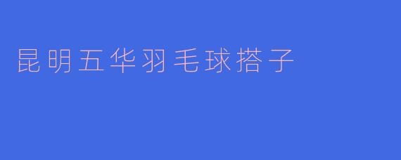昆明五华羽毛球搭子