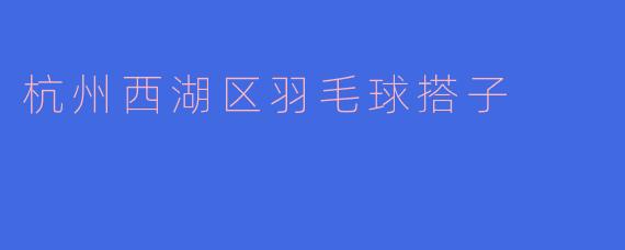 杭州西湖区羽毛球搭子