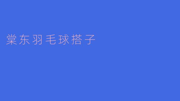 《在棠东，寻找你的羽毛球“最佳拍档”》