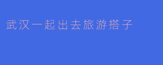武汉一起出去旅游搭子