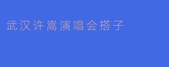 武汉许嵩演唱会搭子