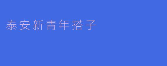 泰安新青年搭子