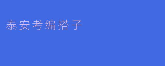 泰安考编搭子