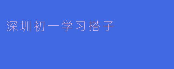 深圳初一学习搭子