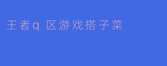 王者q区游戏搭子菜