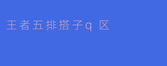 王者五排搭子q区
