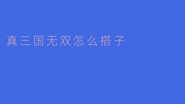 真三国无双怎么搭子