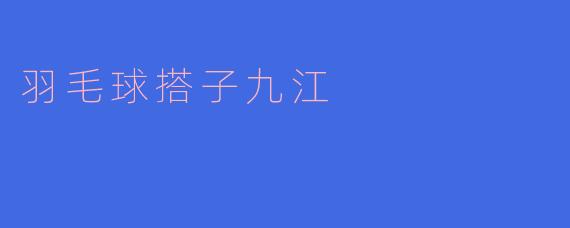 羽毛球搭子九江