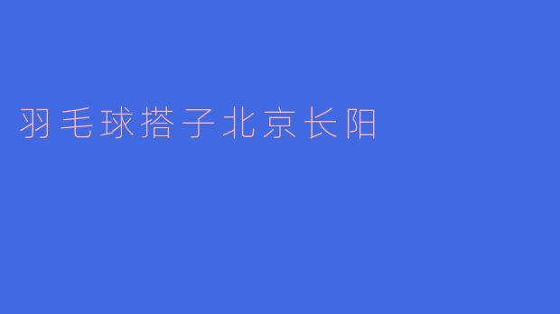 羽毛球搭子北京长阳