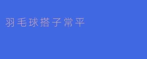 羽毛球搭子常平