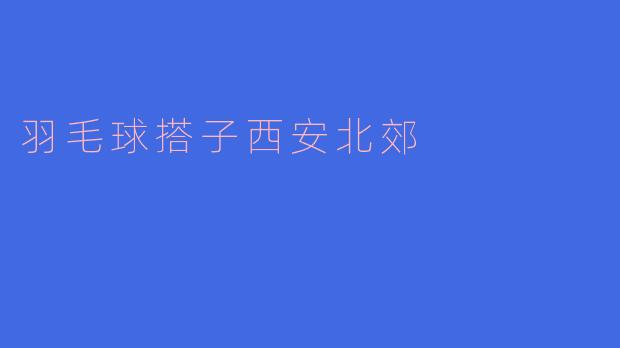 羽毛球搭子西安北郊