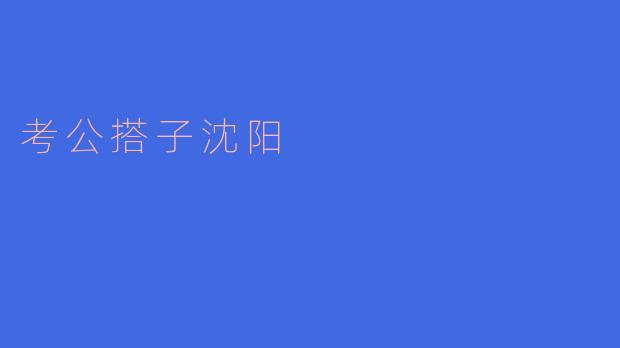考公搭子沈阳