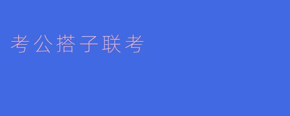 考公搭子联考