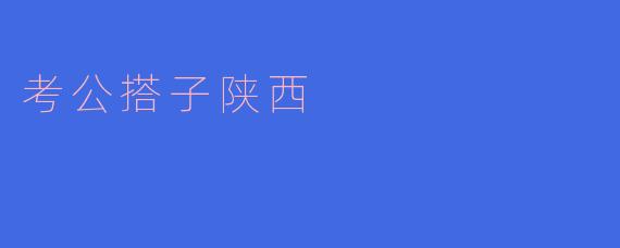 考公搭子陕西