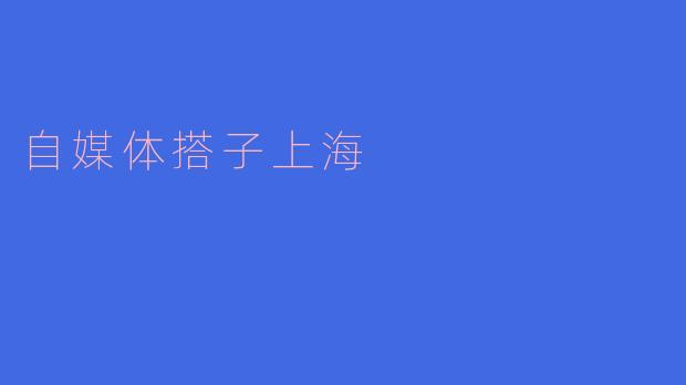 自媒体搭子上海