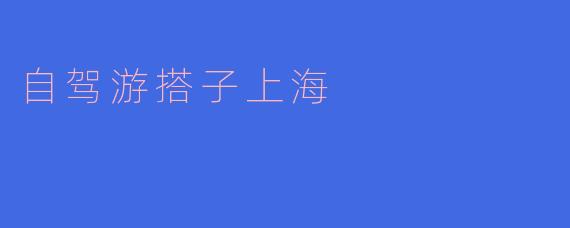 在上海自驾游，有哪些适合搭子一起去的景点或路线推荐？