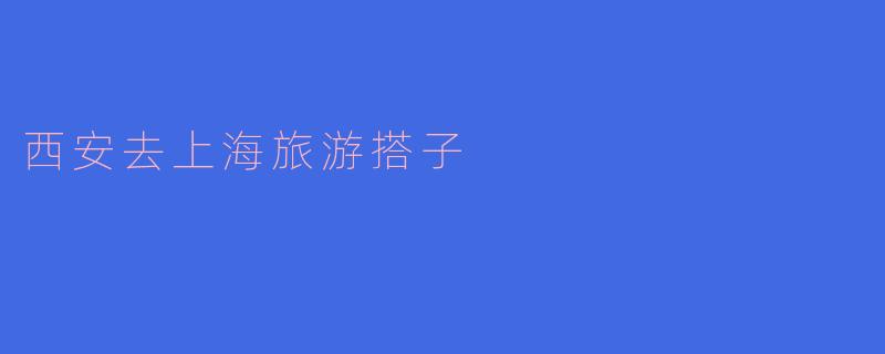 西安去上海旅游搭子