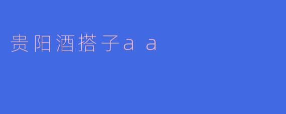 贵阳酒搭子aa