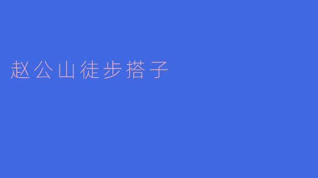 赵公山徒步搭子