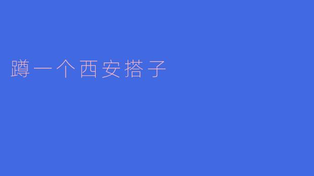 蹲一个西安搭子