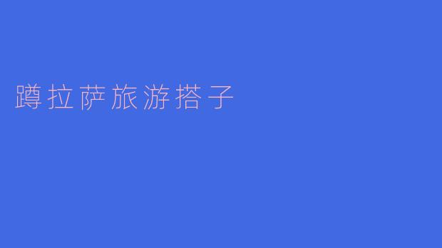 蹲拉萨旅游搭子
