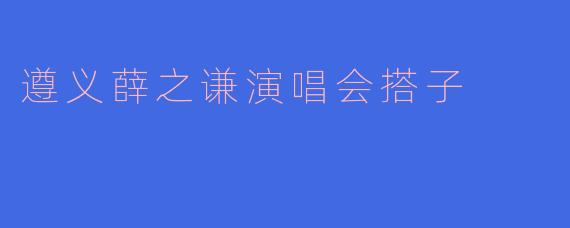 遵义薛之谦演唱会搭子