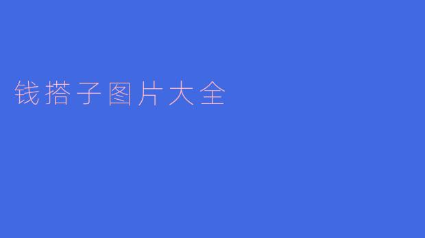 钱搭子图片大全