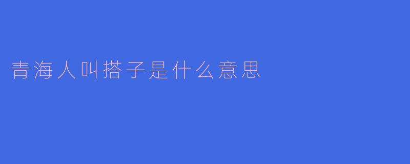 青海人口中的“搭子”是什么意思？解析这一独特方言用法的文化内涵
