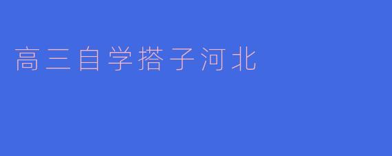 高三自学搭子河北